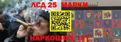 гидропоника Можга