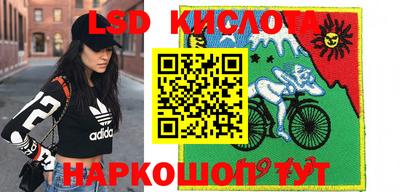 прущие крисы Моздок