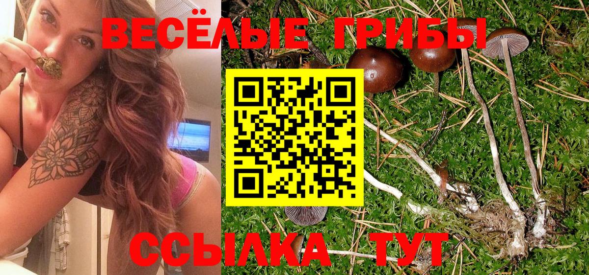 Галлюциногенные грибы прущие грибы Чистополь