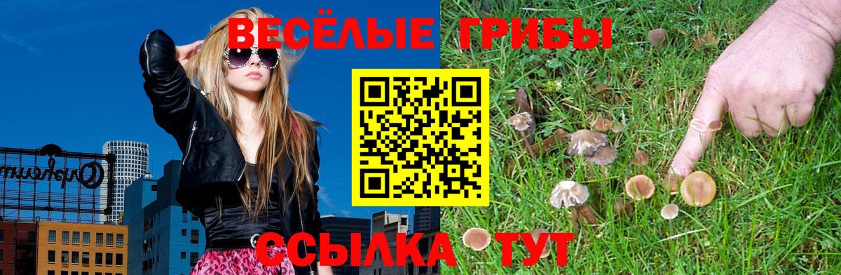 Чистополь  Галлюциногенные грибы Cubensis  Вход с VPN 